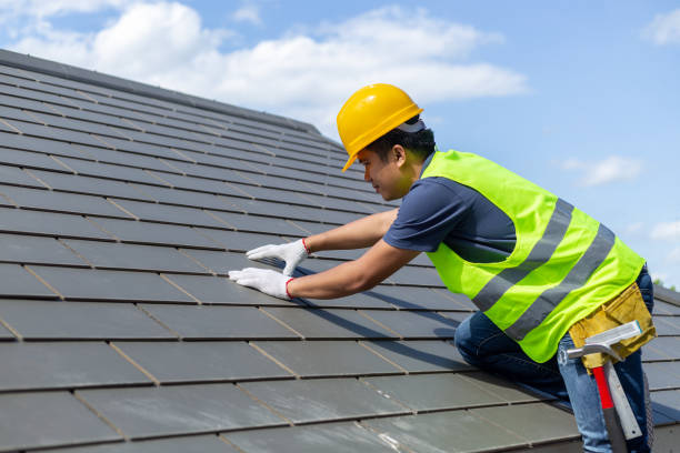 Best Roof Moss and Algae Removal  in Belpre, OH